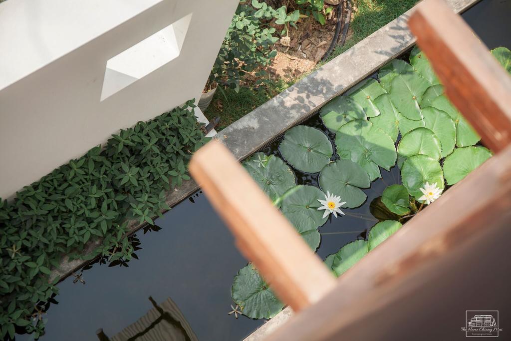 The Home Chiangmai Luxury Guesthouse Чиангмай Экстерьер фото