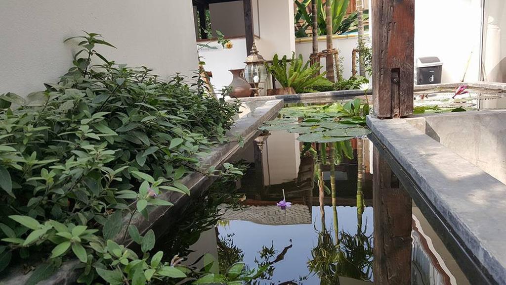 The Home Chiangmai Luxury Guesthouse Чиангмай Экстерьер фото